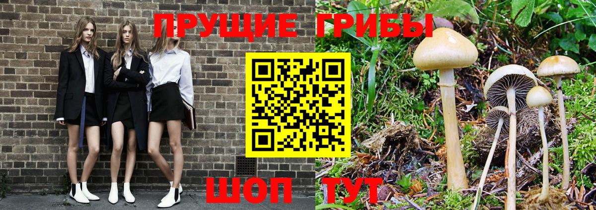 Псилоцибиновые грибы ЛСД  Вход с VPN  Партизанск  Псилоцибиновые грибы мицелий 