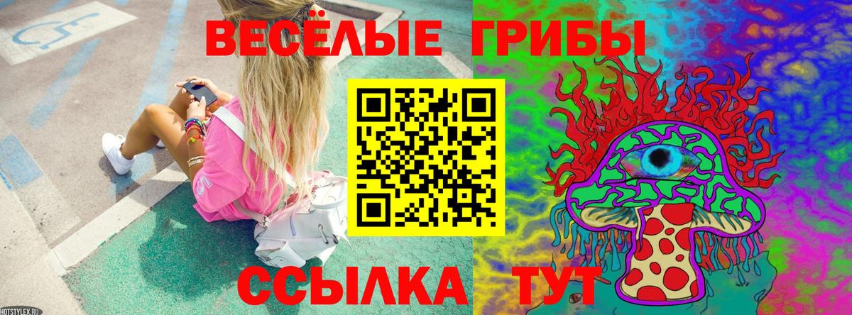 Галлюциногенные грибы ЛСД Партизанск